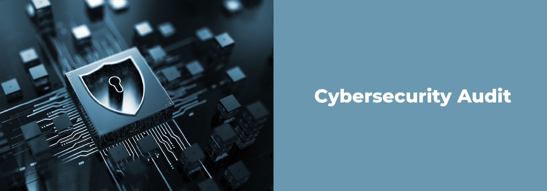 Cybersecurity Audit